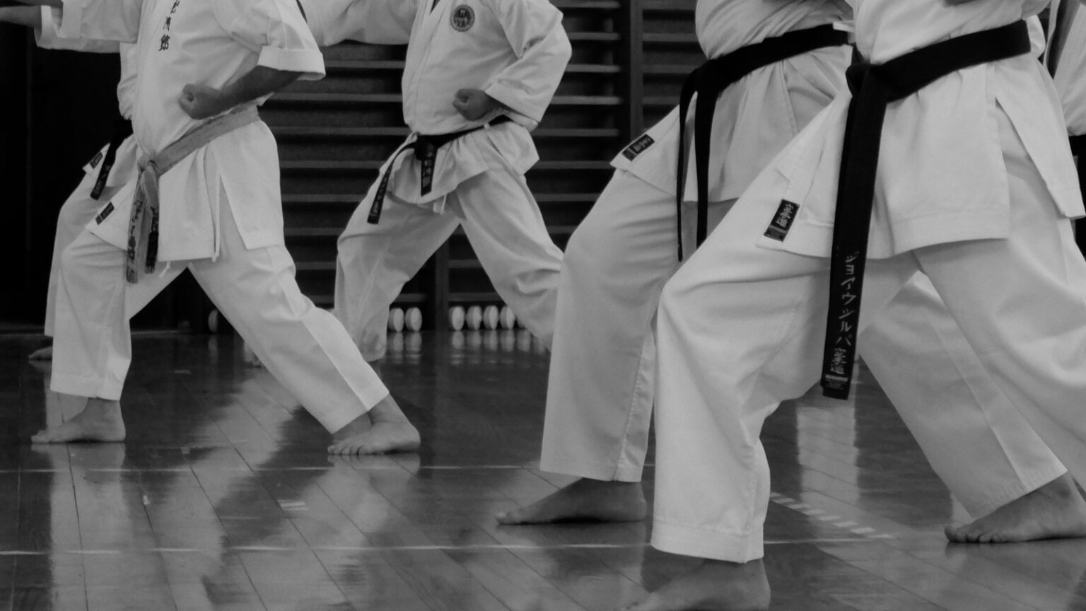 KAI Karate-Do Shotokan